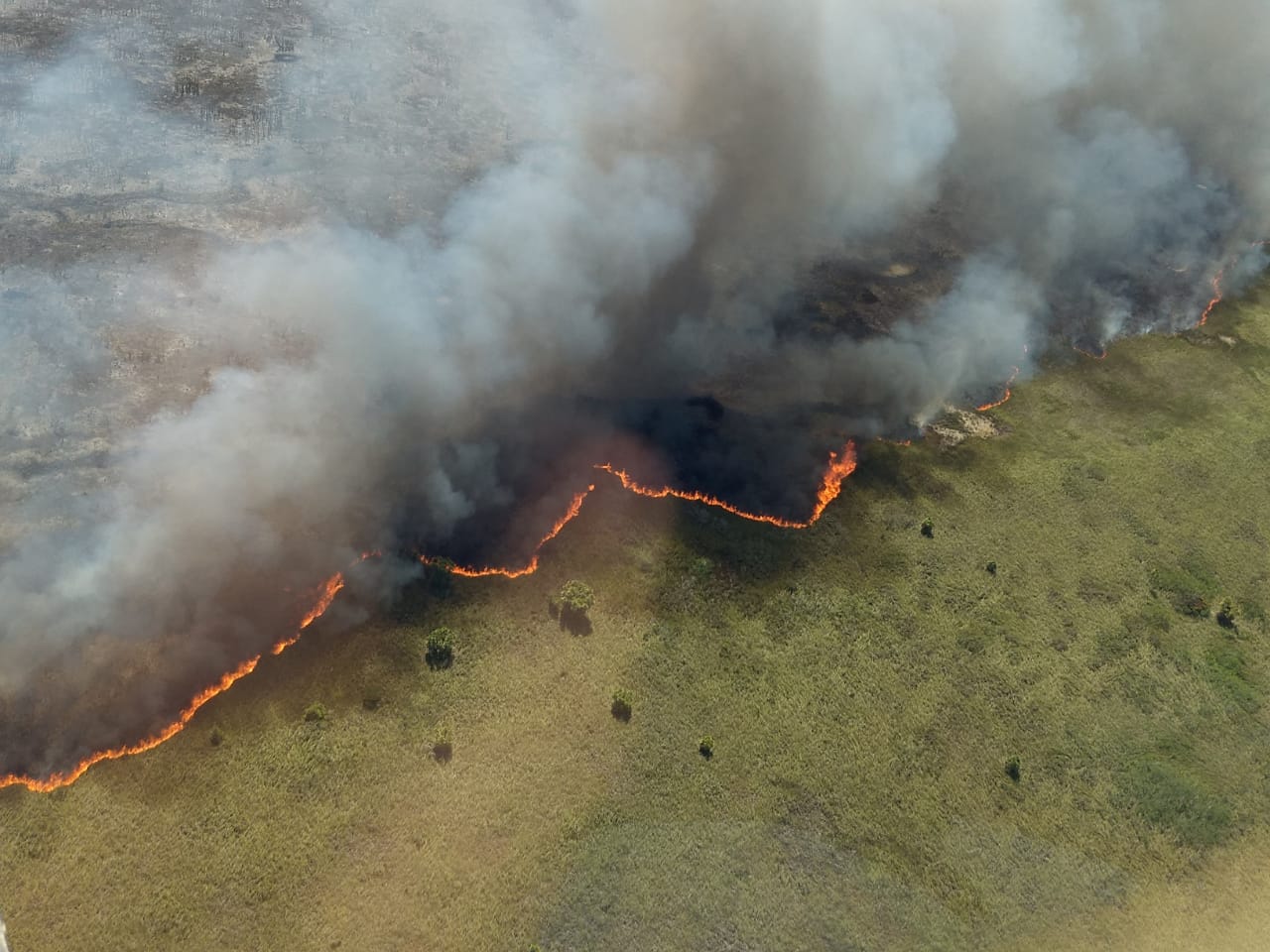 Vista áerea del incendio de Sian Ka'an