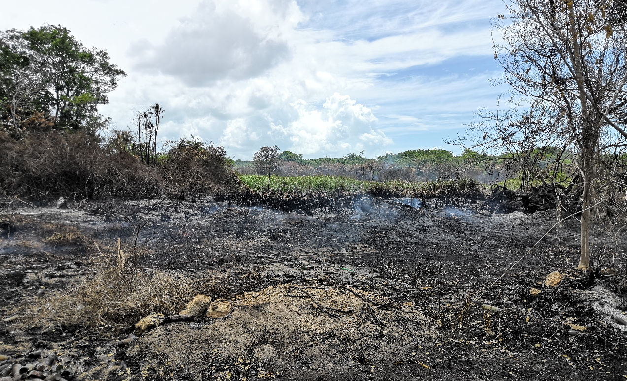 Incendio sabana