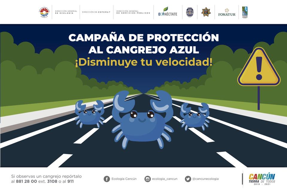 Promo para proteger al Cangrejo Azul