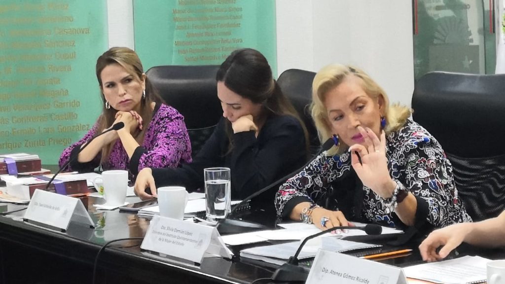 la directora del Instituto Quintanarroense de la Mujer (IQM), Silvia Damián López