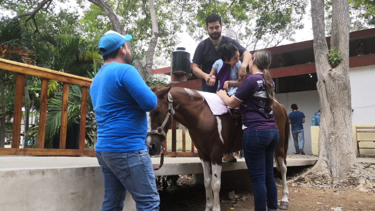 Terapia con caballos -equinoterapia- es eficaz con los pacientes con discapacidad