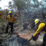 Ocho municipios afectados por incendios que combaten brigadistas 1