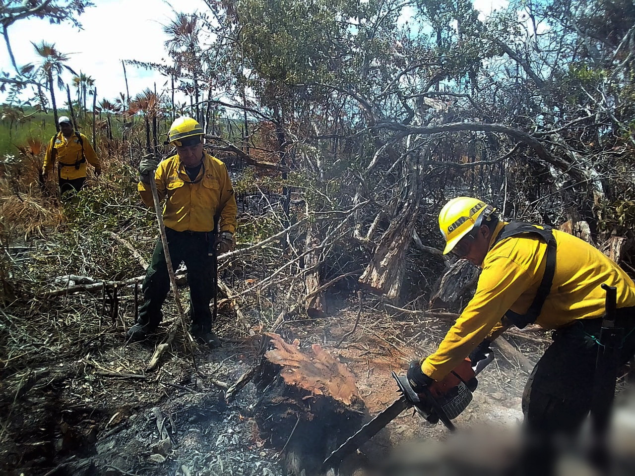 Ocho municipios afectados por incendios que combaten brigadistas