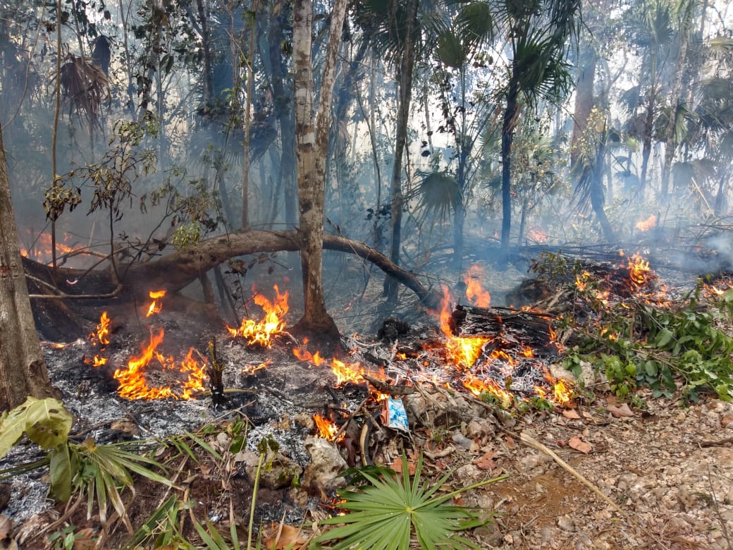 incendios