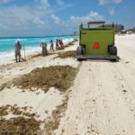 Trabajadores municipales limpian sargazo de las playas de Cancún