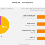 Consumo y pandemia 2