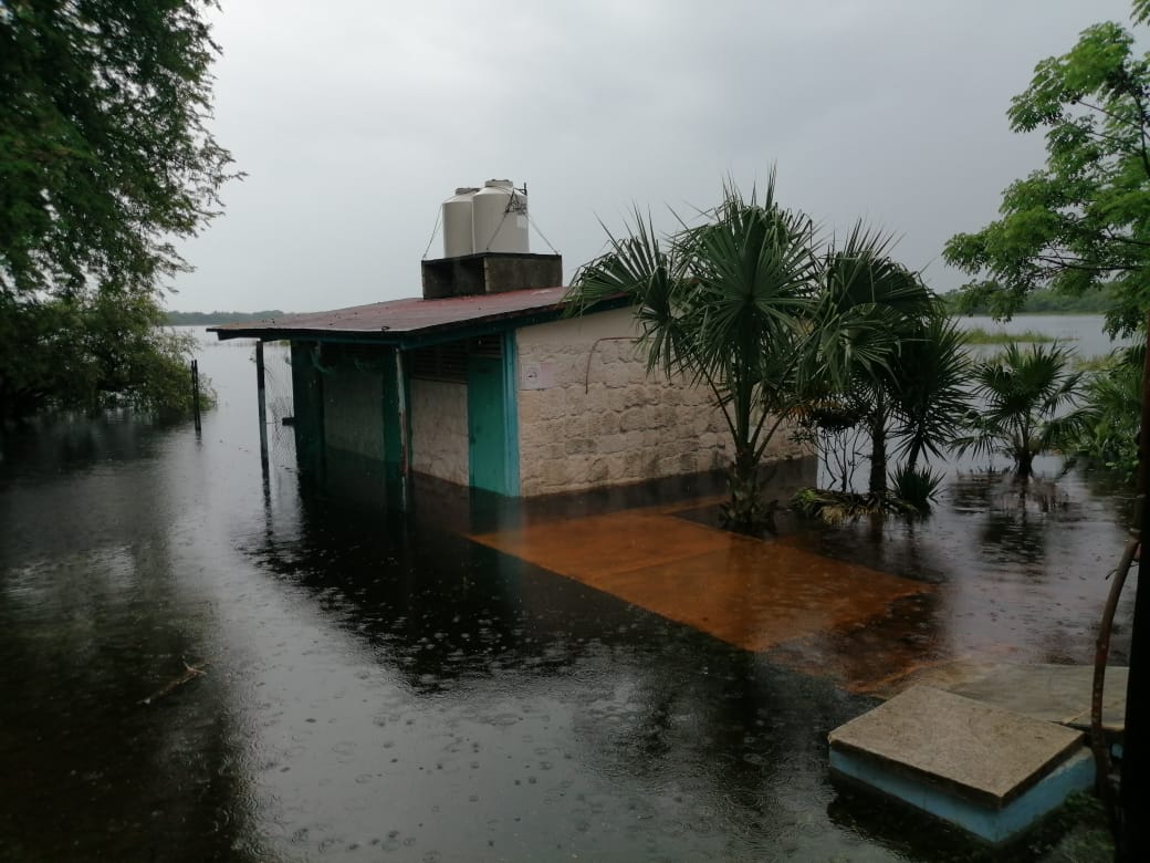 Escuelas del sur de Quintana Roo, severamente dañadas