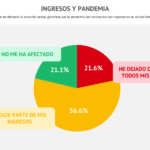 Ingresos y pandemia 1