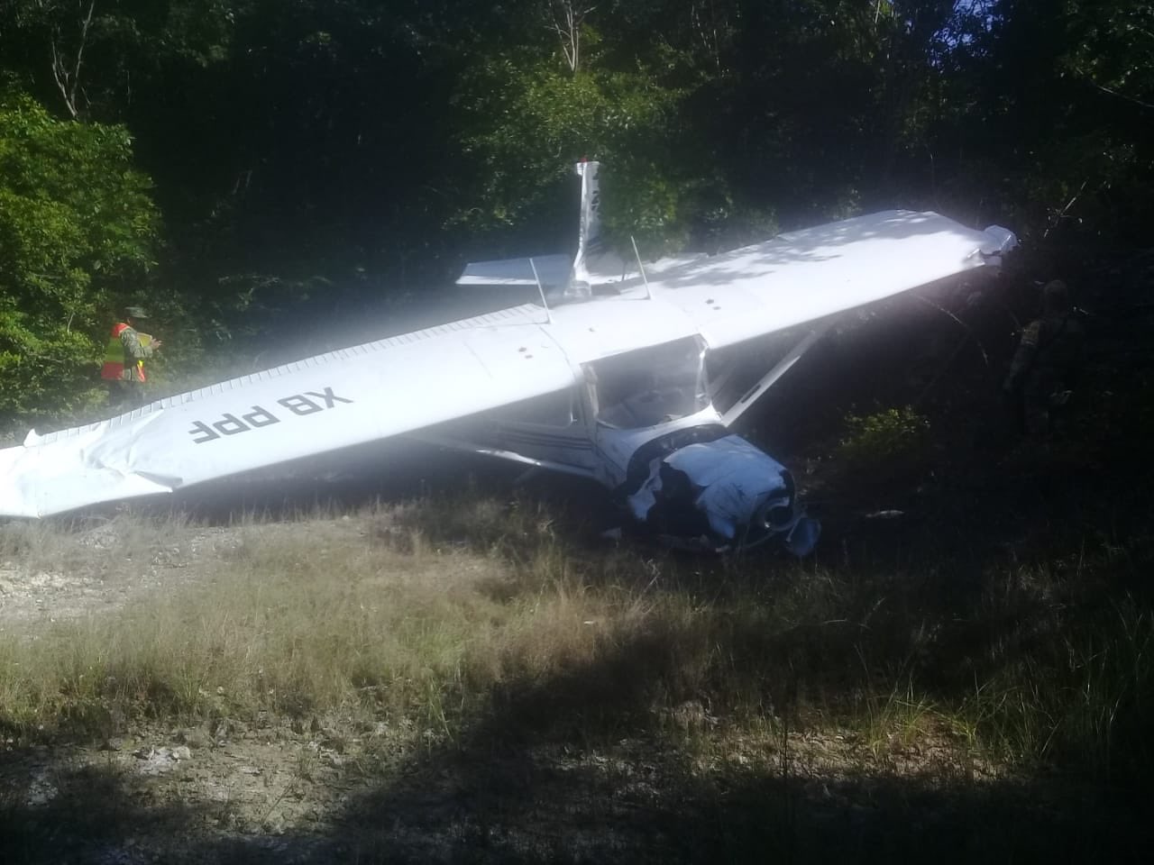 La avioneta cayó sobre la maleza