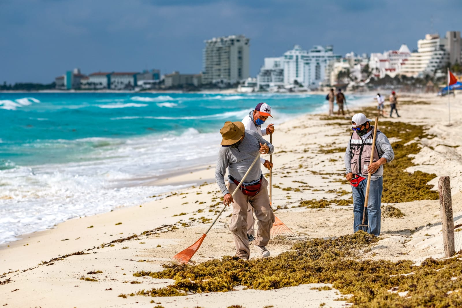 Recalan más 291 mil kilos de sargazo en playas públicas de Cancún