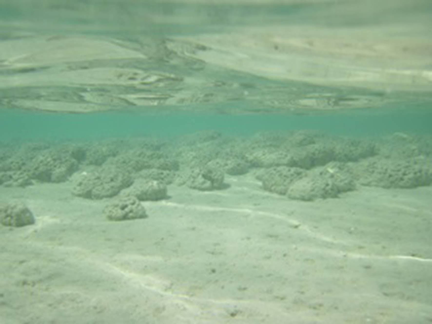 La Laguna de Bacalar pierde sus siete colores