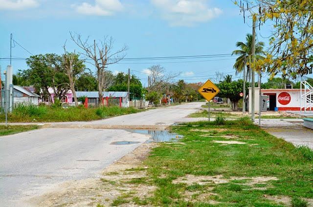 Alcaldías y delegaciones de Othó P. Blanco, abandonadas