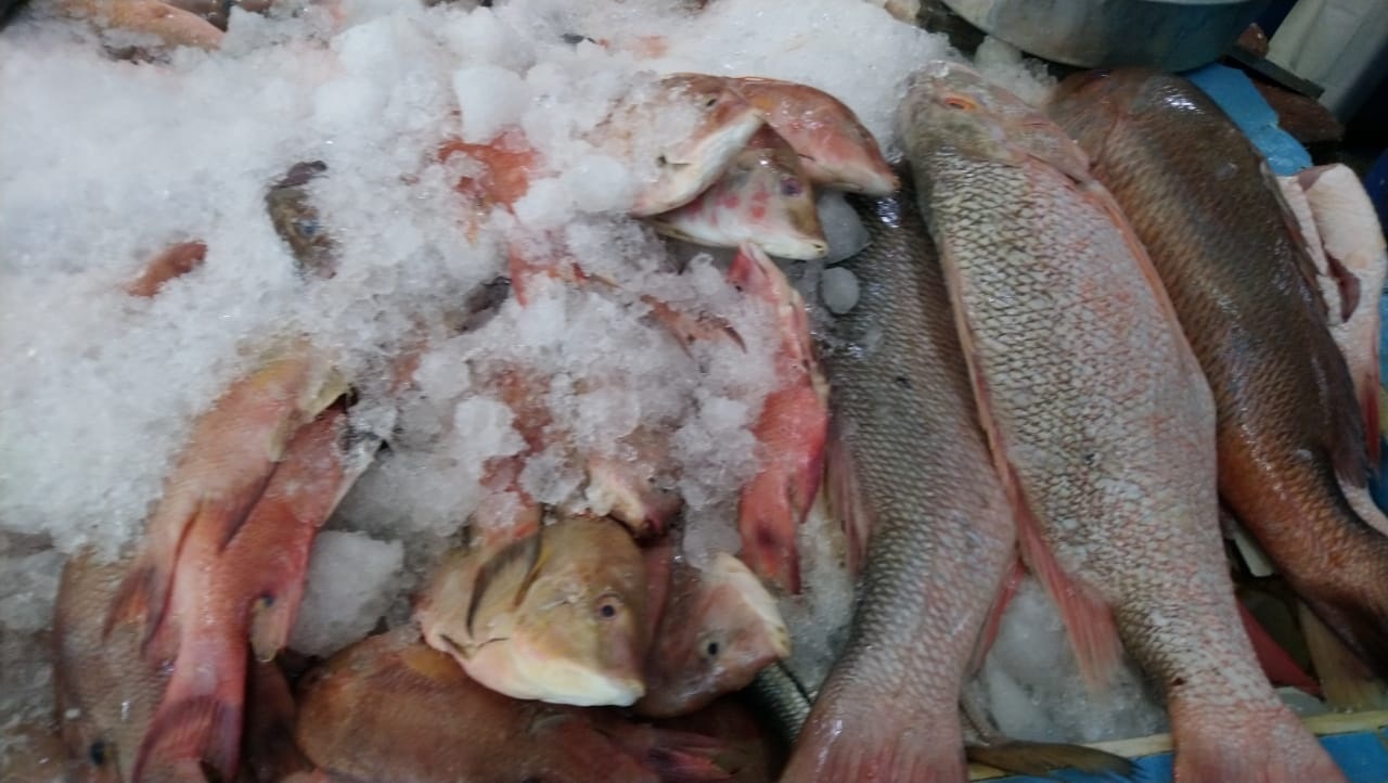 Autoridades recomiendan tener cuidado con el consumo de alimentos crudos.