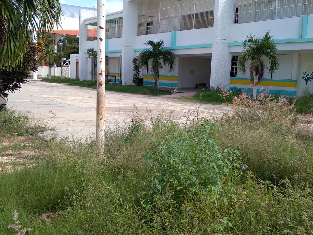 Escuela de Quintana Roo