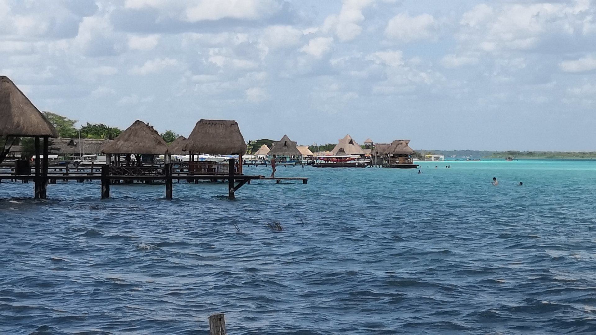 Mortandad de especies marinas en la Laguna de Bacalar