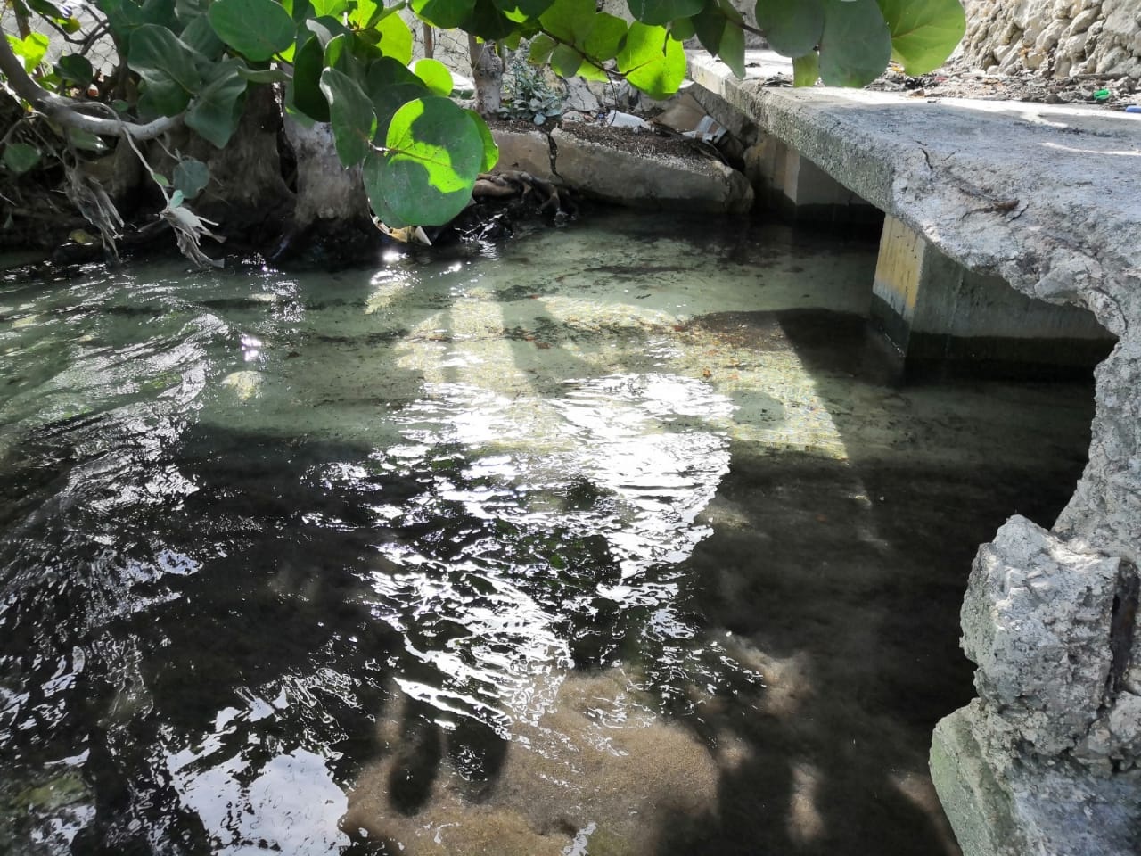 Negocios contaminan la bahía de Chetumal