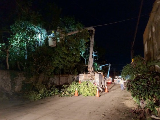 Trabajadores de la CFE