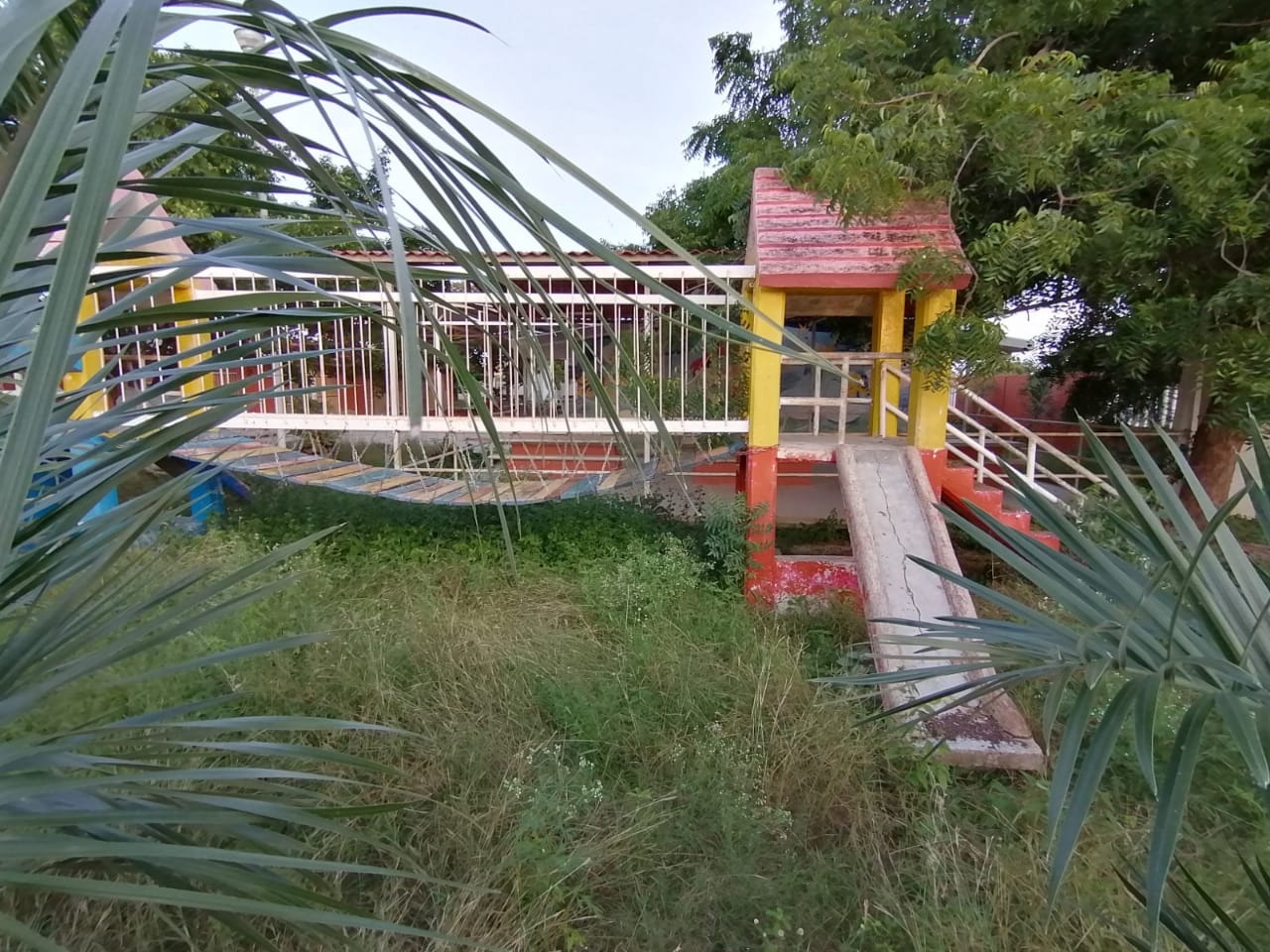 escuelas de Quintana Roo