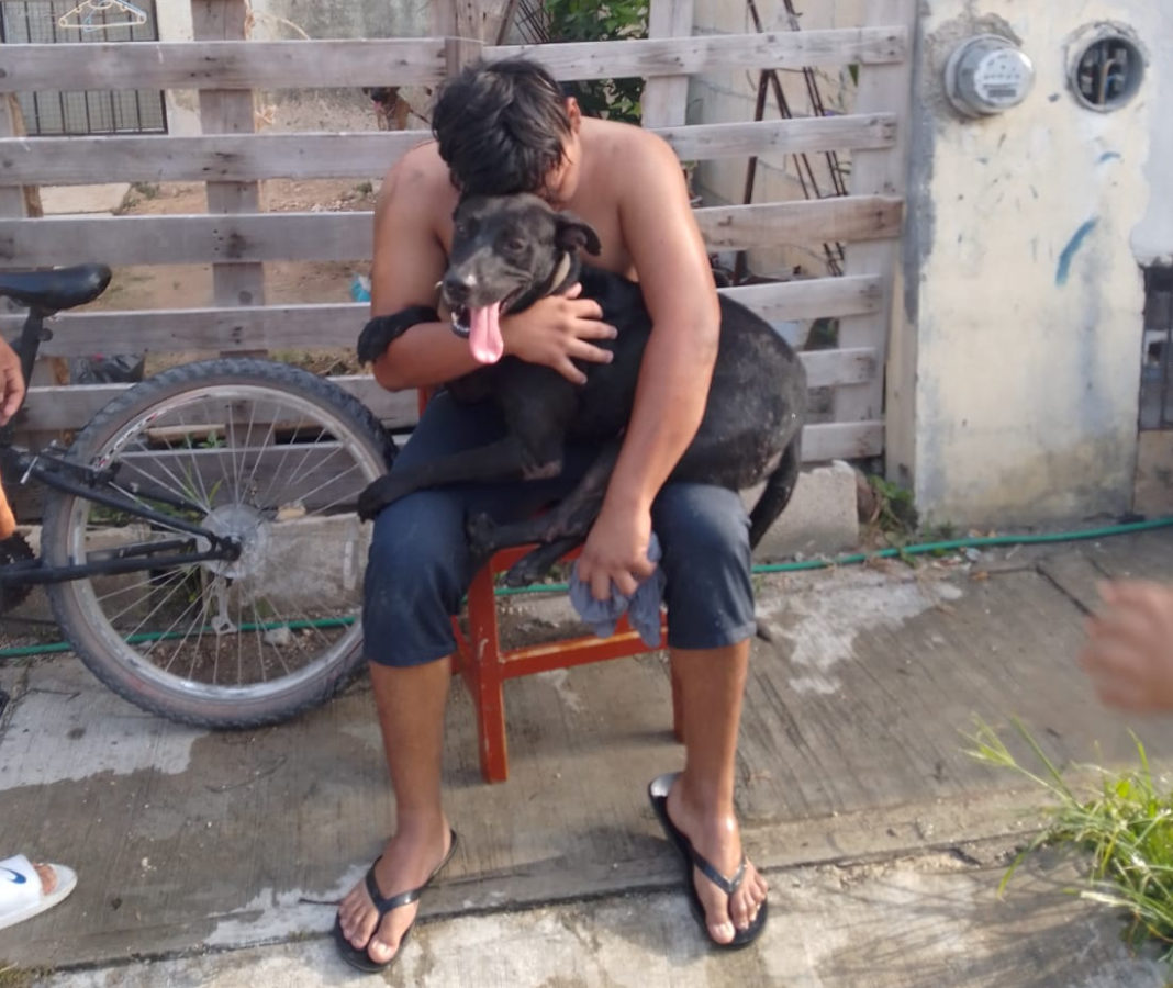 hombre y perro rescatados de incendio