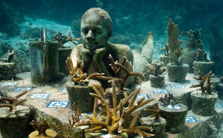 Opinión: El uso de la imagen y sus consecuencias