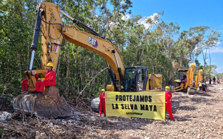 Reiteran académicos e investigadores rechazo al Tren Maya