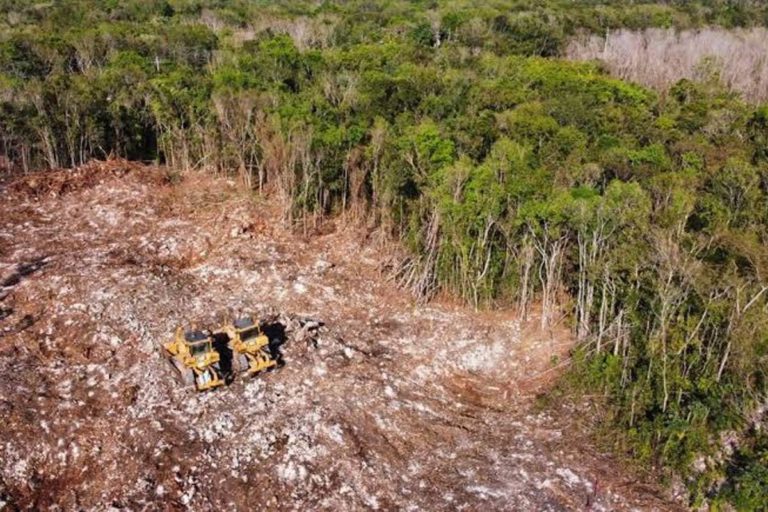 Proponen consulta pública para la MIA del tramo 5 sur del Tren Maya