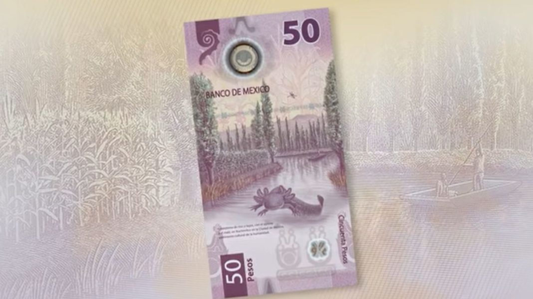 billete de 50 pesos falso