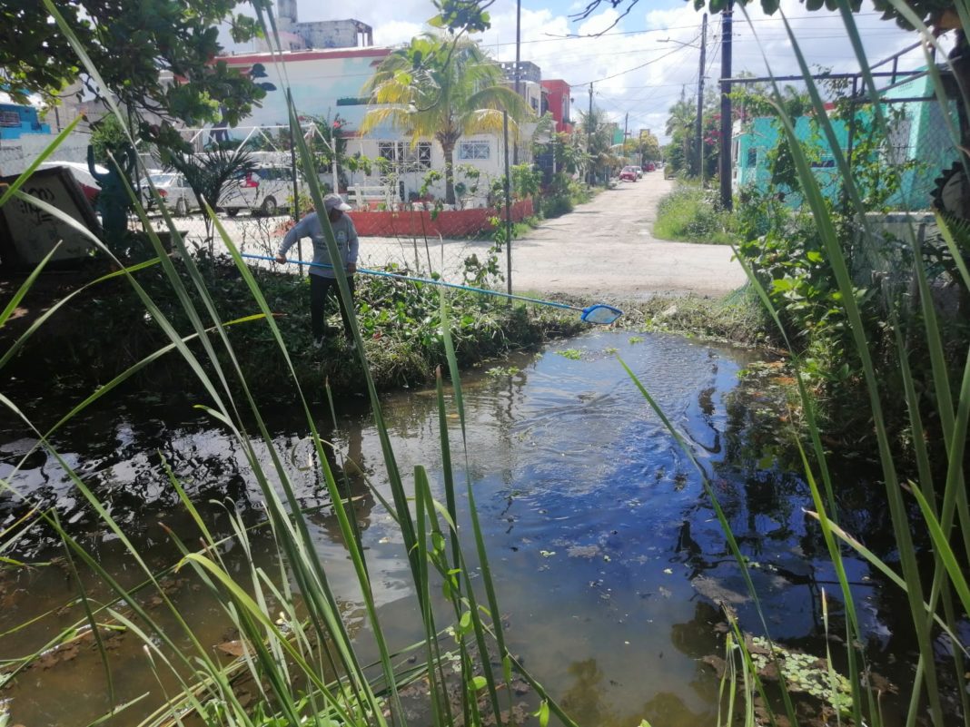 Laguna del Manatí