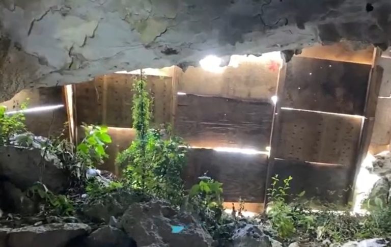 Tren Maya | Denuncian ecocidio y etnocidio
