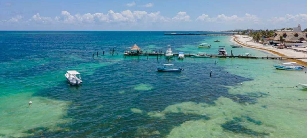 Cuerpo flotando puerto morelos