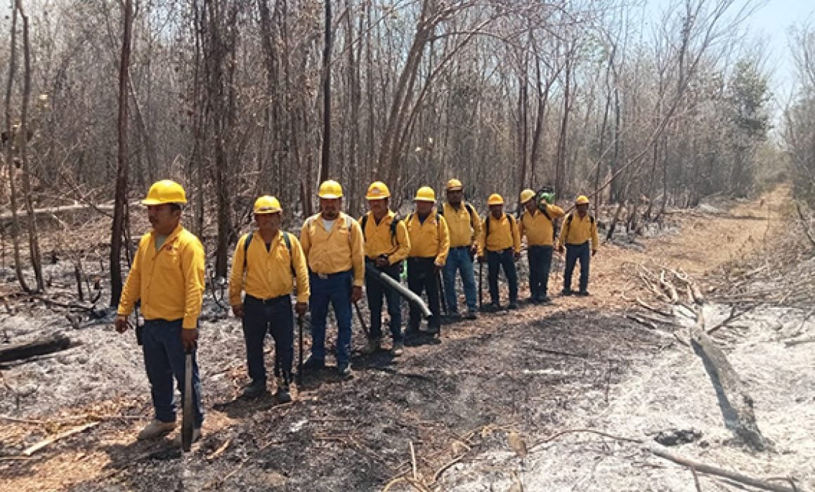 Incendios forestales en Tulum