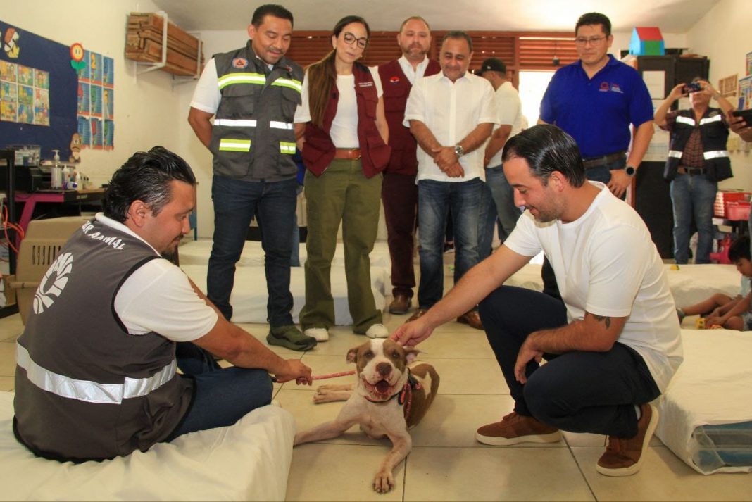 Refugio Temporal Pet Friendly en Cancún