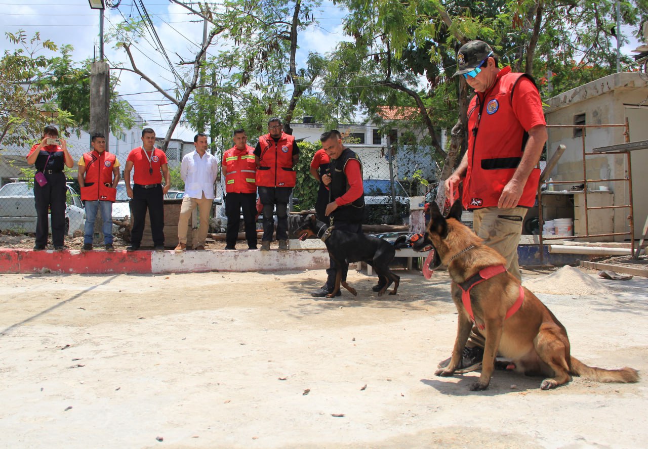 binomios caninos en Cancún