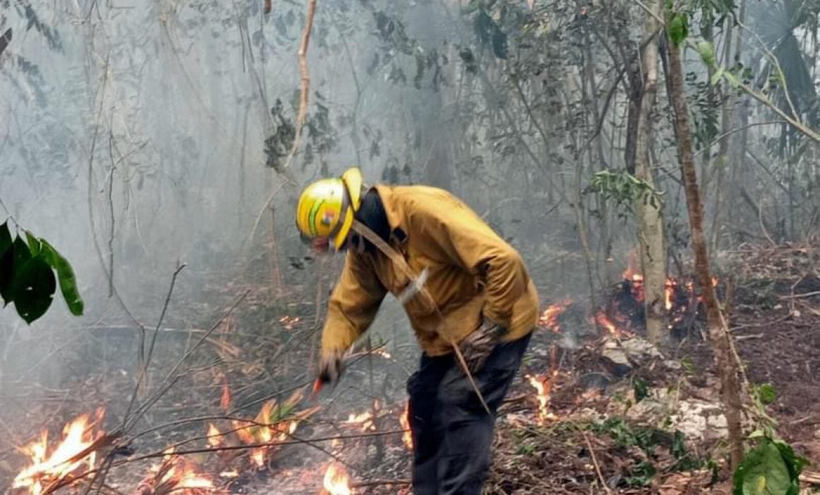 Incendio forestal, solidaridad