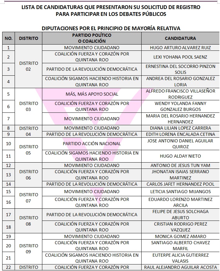 debate2 diputados