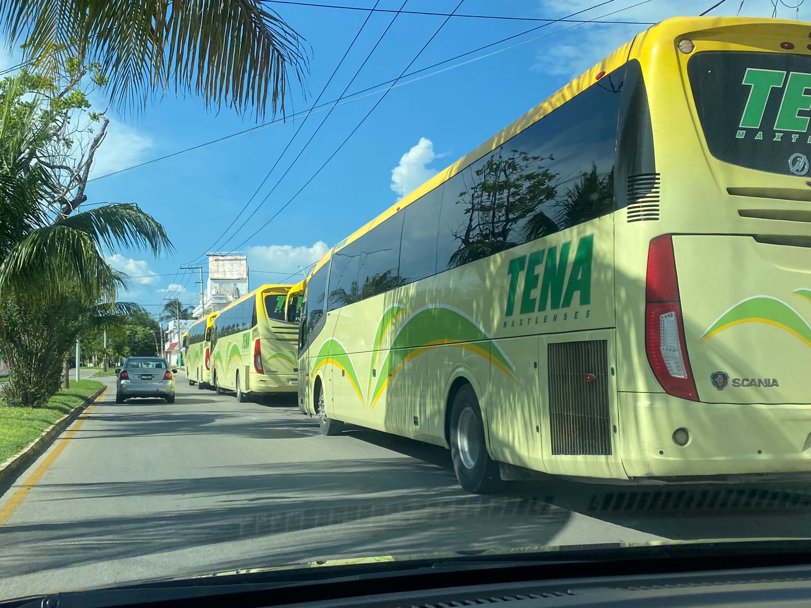 Segundo informe