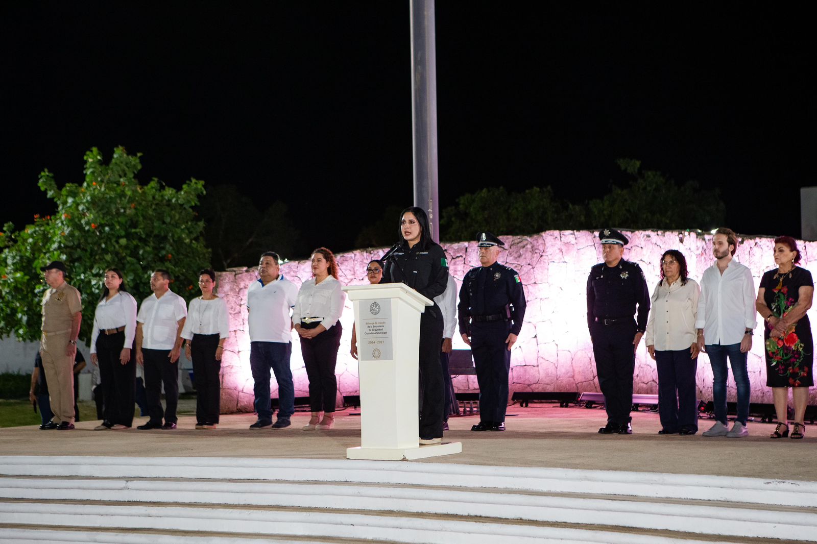 Seguridad pública