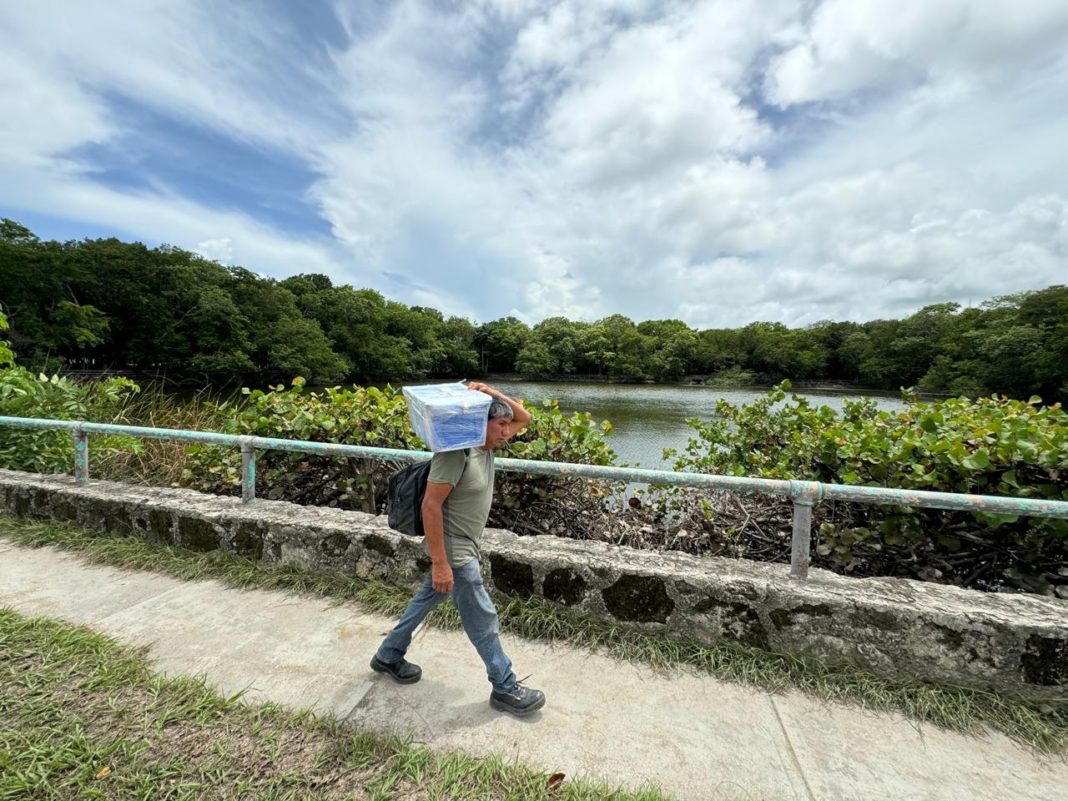 Quintana Roo