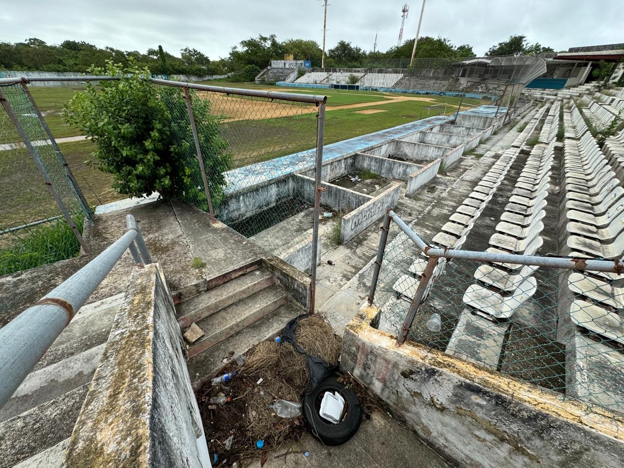 Estadio