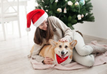 mascotas en Navidad