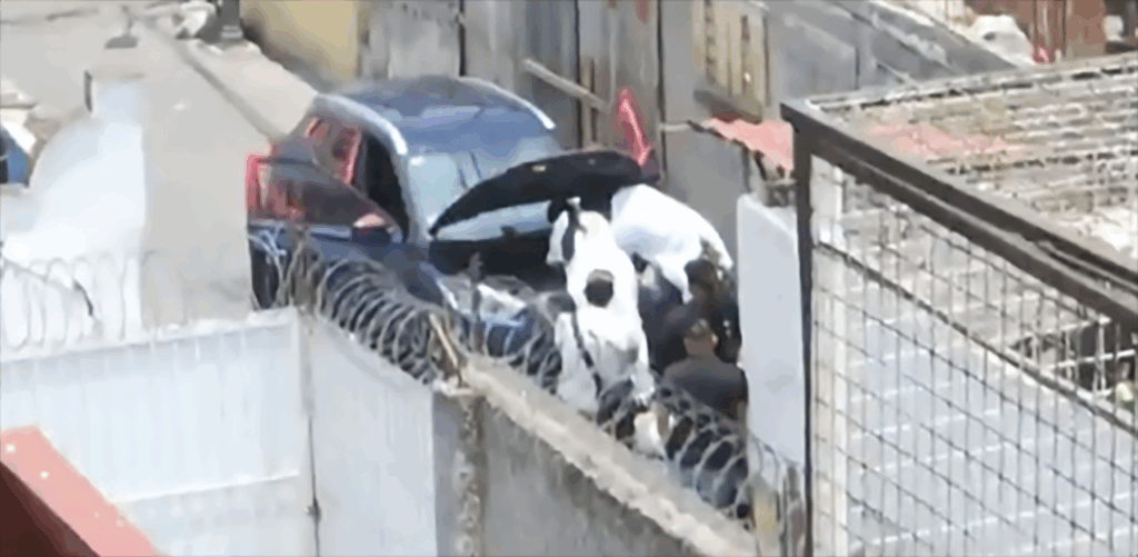 asesino de Ximena Guzmán