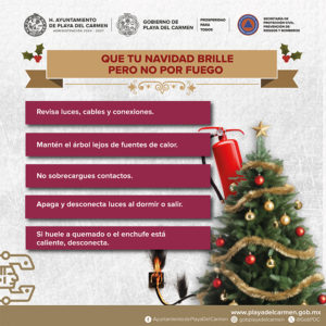 Category V2 ARBOLES 18 1 2