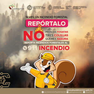 Incendios Forestales WEB CUADRADO