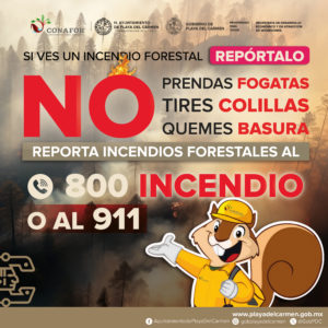 Category V2 Incendios Forestales WEB CUADRADO